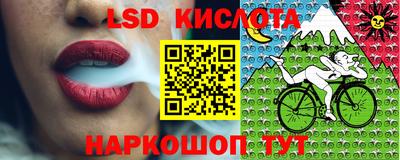 ПСИЛОЦИБИНОВЫЕ ГРИБЫ Коммунар