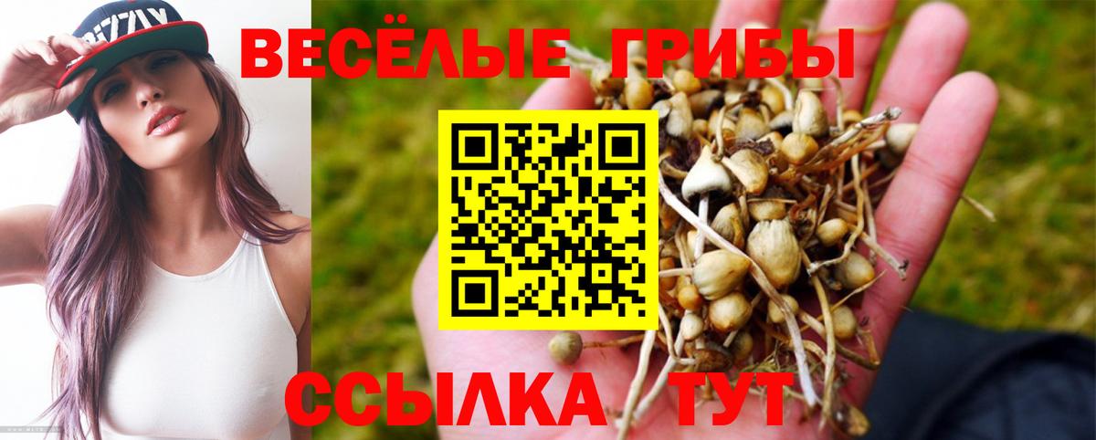 Донской  Галлюциногенные грибы Magic Shrooms  Вход с VPN 